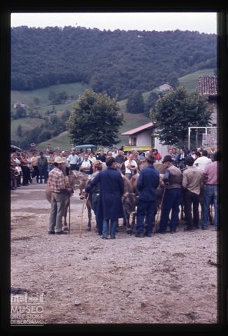 Fiera Bovina Zootecnica di Serina