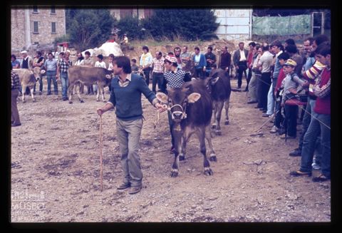 Fiera Bovina Zootecnica di Serina