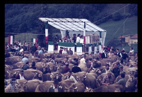 Fiera Bovina Zootecnica di Serina