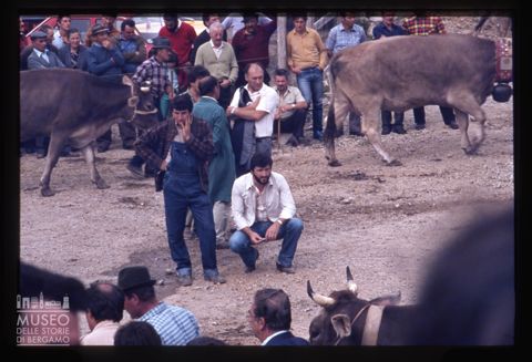 Fiera Bovina Zootecnica di Serina