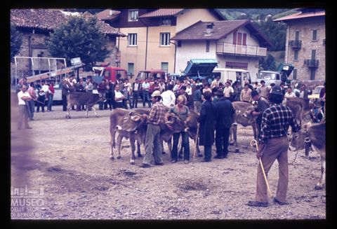 Fiera Bovina Zootecnica di Serina