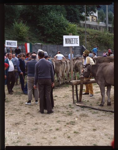 Fiera Bovina Zootecnica di Serina
