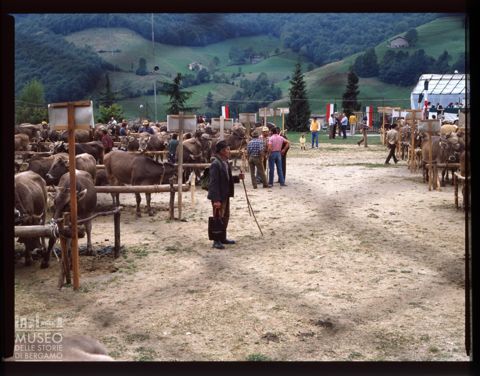 Fiera Bovina Zootecnica di Serina