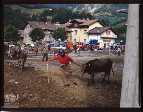 Fiera Bovina Zootecnica di Serina