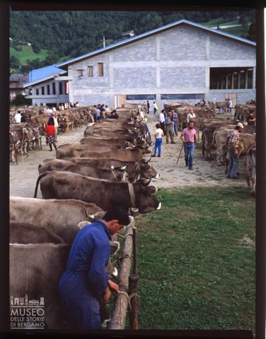 Fiera Bovina Zootecnica di Serina