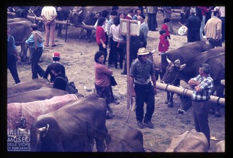 Fiera Bovina Zootecnica di Serina