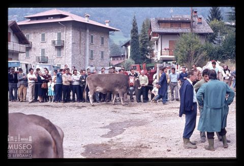 Fiera Bovina Zootecnica di Serina