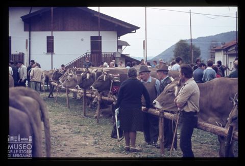 Fiera Bovina Zootecnica di Serina