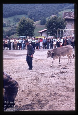 Fiera Bovina Zootecnica di Serina