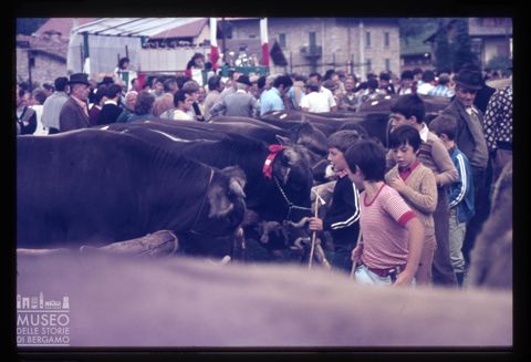 Fiera Bovina Zootecnica di Serina