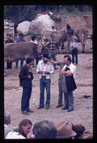 Fiera Bovina Zootecnica di Serina