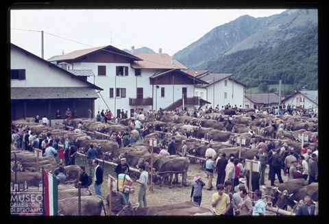Fiera Bovina Zootecnica di Serina
