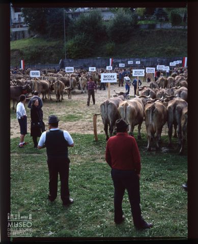 Fiera Bovina Zootecnica di Serina