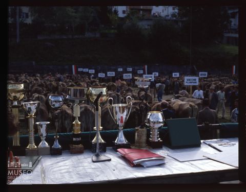 Fiera Bovina Zootecnica di Serina
