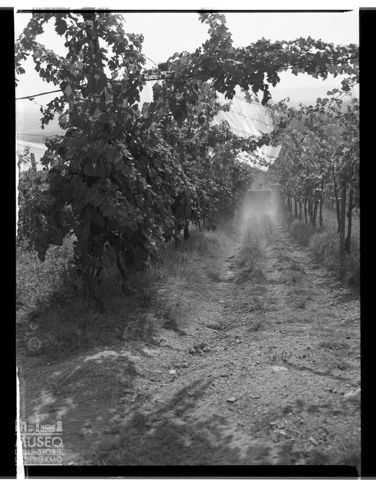 Azienda agricola Lurani Cernuschi ad Almenno San Salvatore
