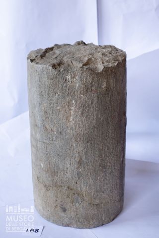 Frammento di costolone