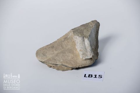 Frammento di pennacchio