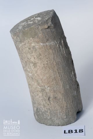 Frammento di costolone