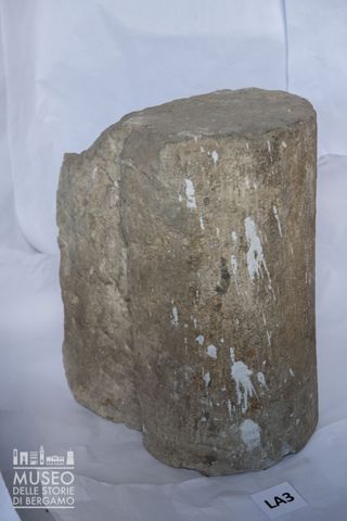 Frammento di costolone