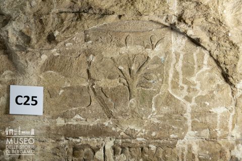 Stemma della famiglia Bonasi (?)