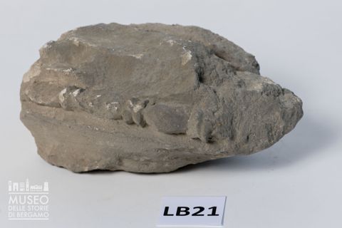 Frammento di elemento architettonico