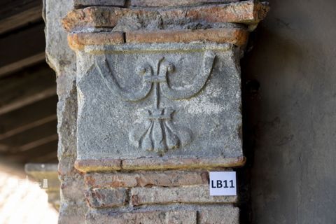 Decorazione a motivi fitomorfi