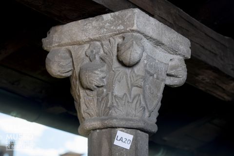 Decorazione con elementi fitomorfi e stemma