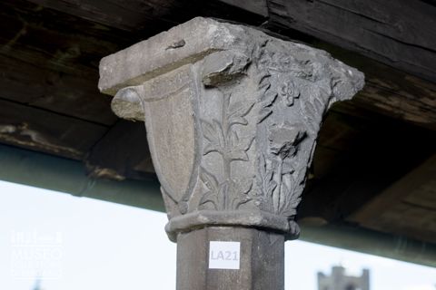 Decorazione con elementi fitomorfi