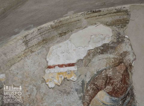 Motivo decorativo fitomorfo