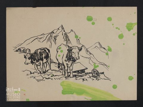 Mucche al pascolo in alta montagna