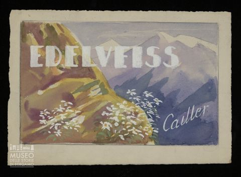 Edelveiss