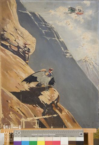 Paesaggio andino, con aereo di Antonio Locatelli