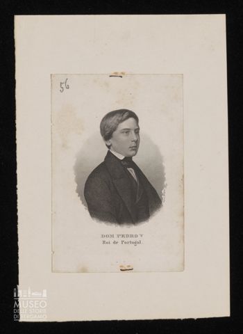 Dom Pedro V Roi de Portugal