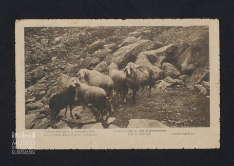 Scarpellini Giovanni, caporale maggiore, 218 Fanteria, 2° Battaglione, Comando a Tiraboschi Marco