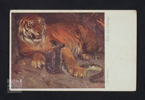 Vavassori Severo a Tiraboschi Marco