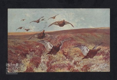 Vavassori Severo a Tiraboschi Marco