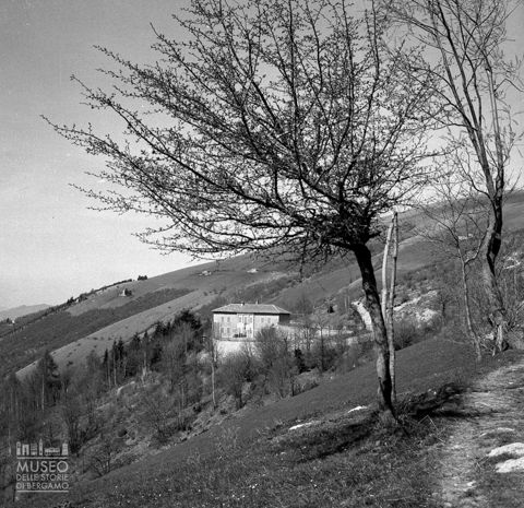 Alberi e costruzione