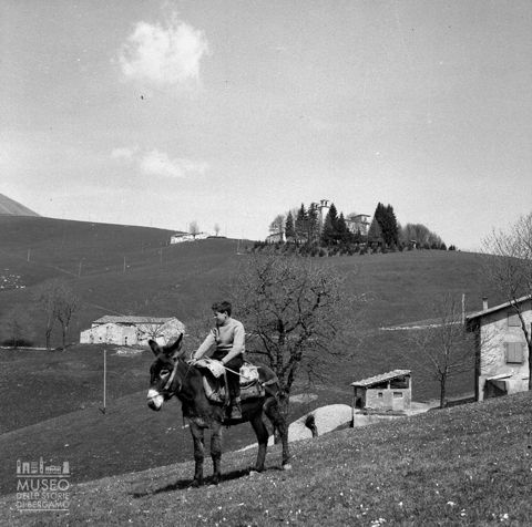 Bambino e mulo