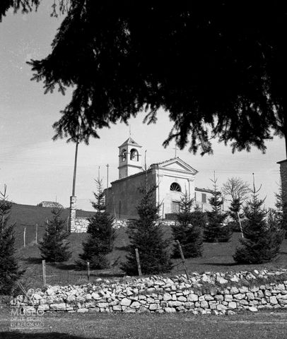 Chiesa e alberi
