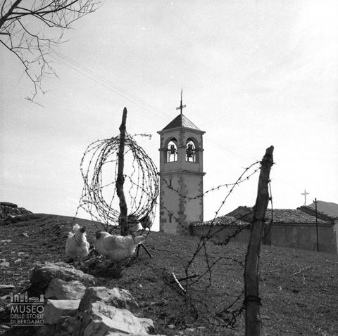 Campanile e galline