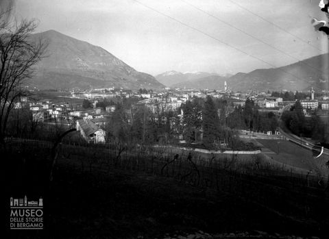 Panorama da un vigneto [1]