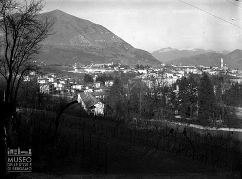 Panorama da un vigneto [2]