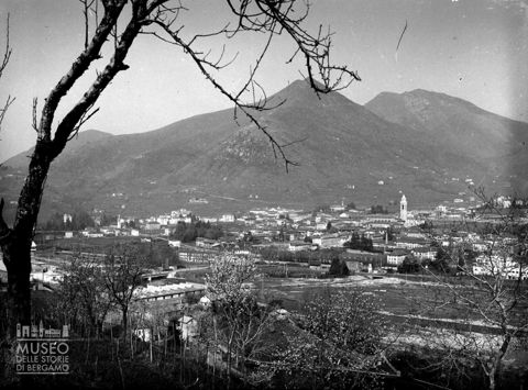 Panorama tra gli alberi [1]