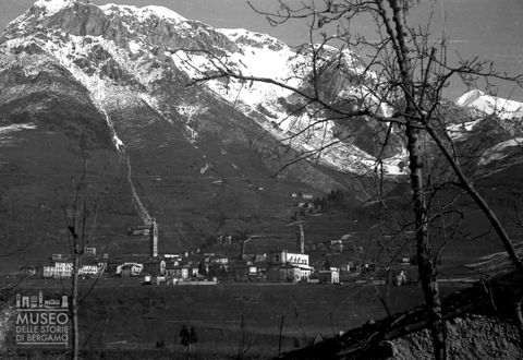 Panorama con monte innevato e alberi [1]
