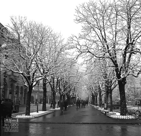 Viale innevato