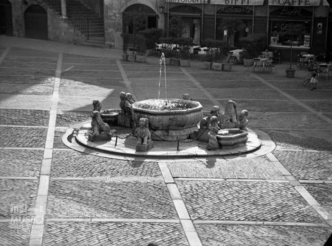 Fontana del Contarini