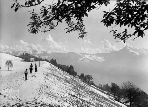 Sentiero e prati innevati