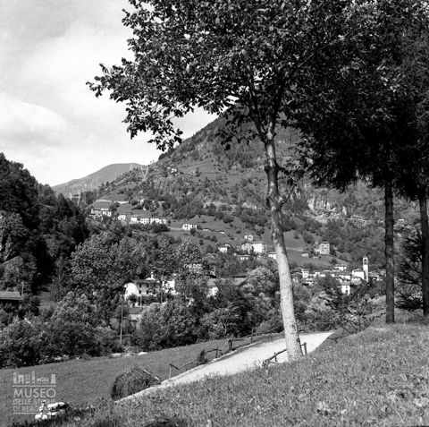 Panorama con alberi