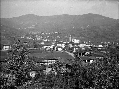 Panorama con alberi
