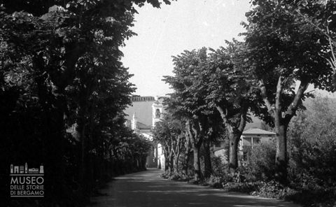 Viale alberato e chiesa